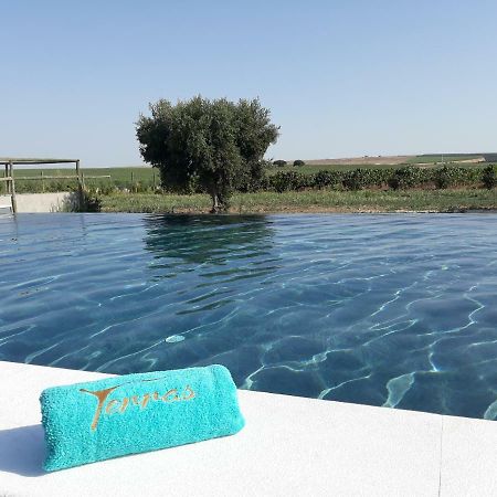 Terras - Agroturismo & Vinhos เบจา ภายนอก รูปภาพ