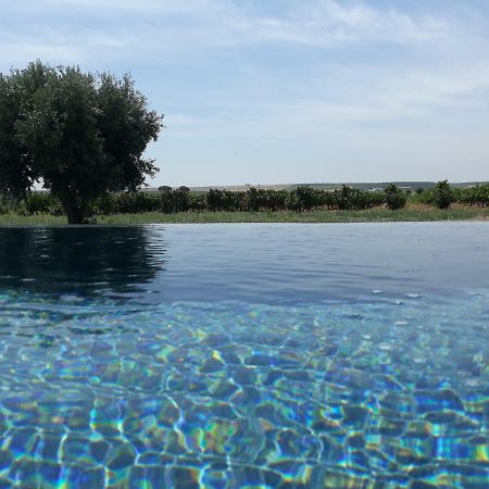 Terras - Agroturismo & Vinhos เบจา ภายนอก รูปภาพ