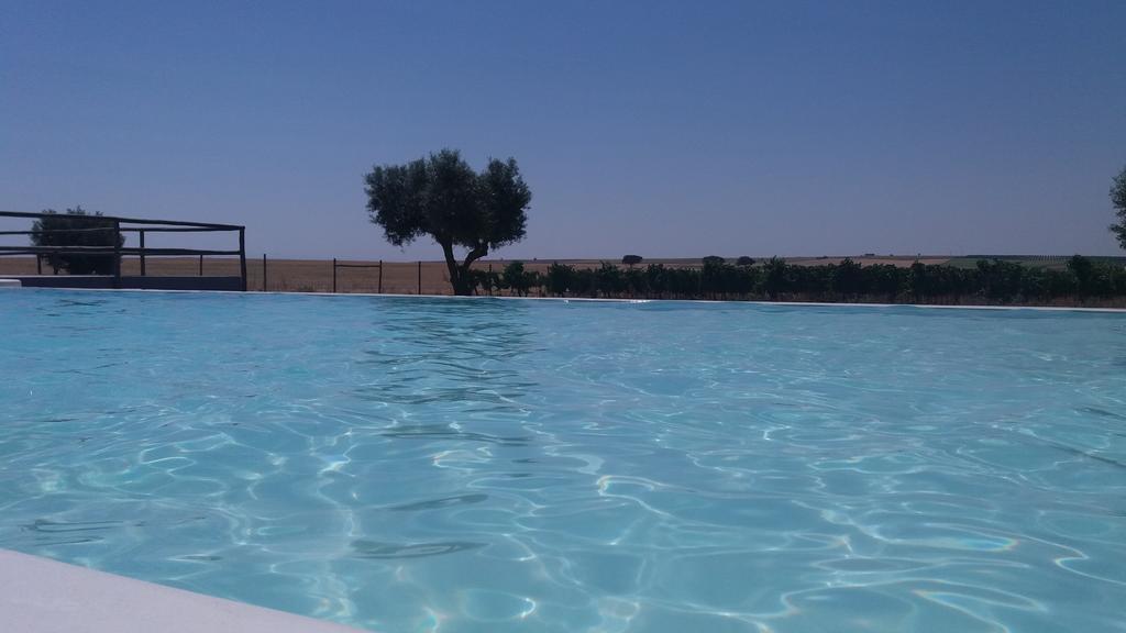 Terras - Agroturismo & Vinhos เบจา ภายนอก รูปภาพ