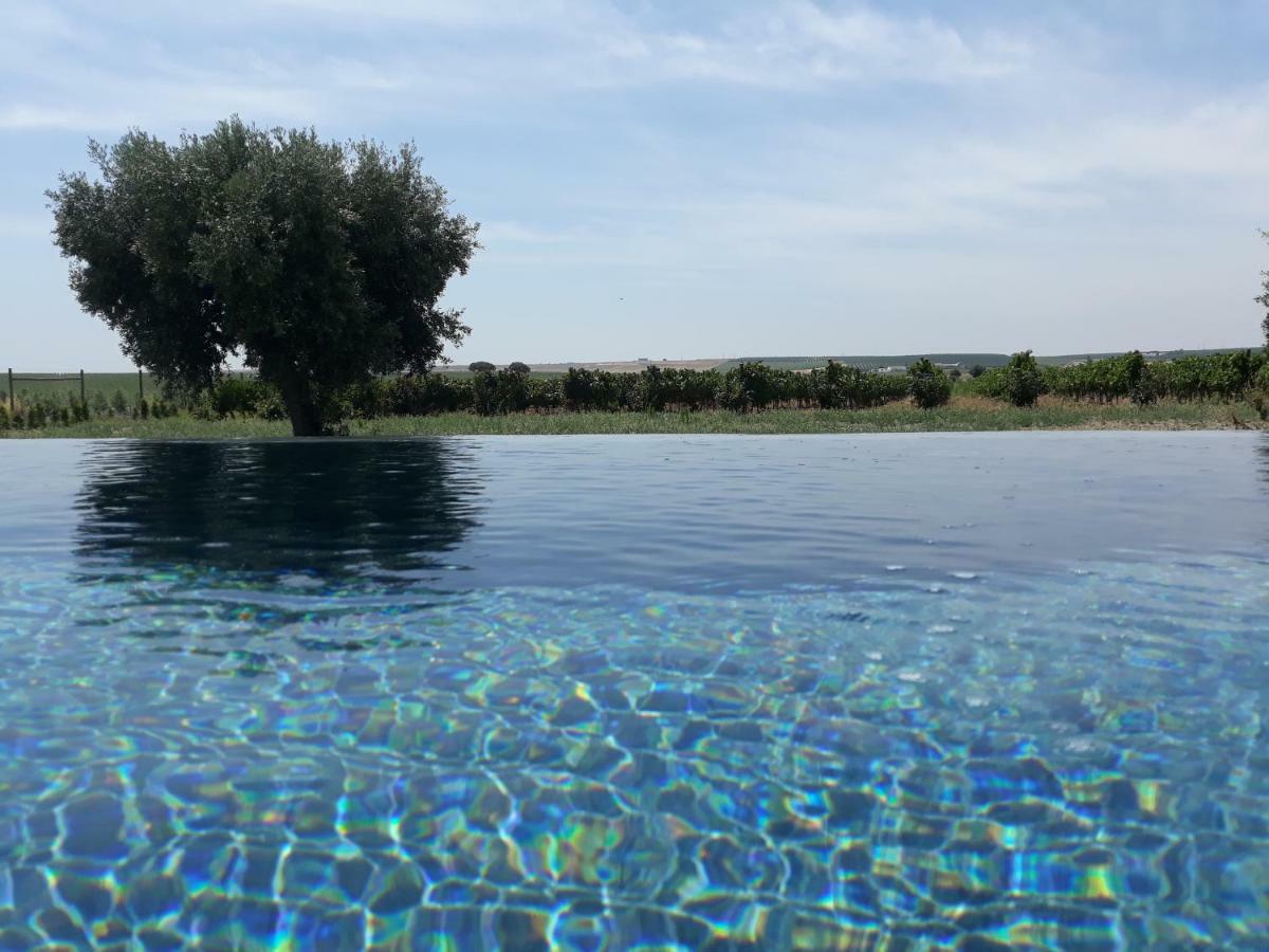 Terras - Agroturismo & Vinhos เบจา ภายนอก รูปภาพ