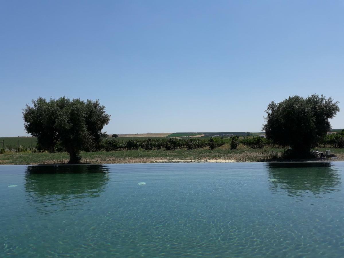 Terras - Agroturismo & Vinhos เบจา ภายนอก รูปภาพ